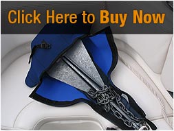 Click Here to Buy Now
